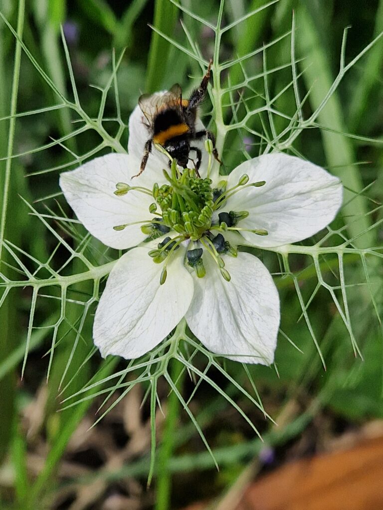 Tuinadvies en aan de slag >