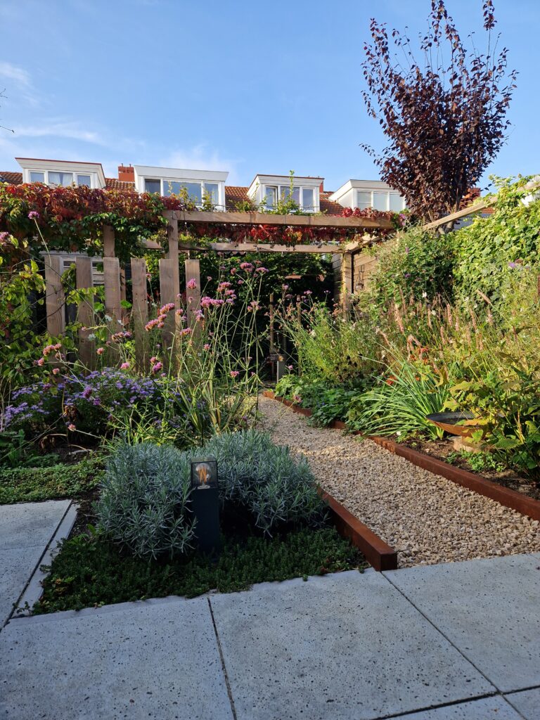 rechte lijnen en weelderige beplanting