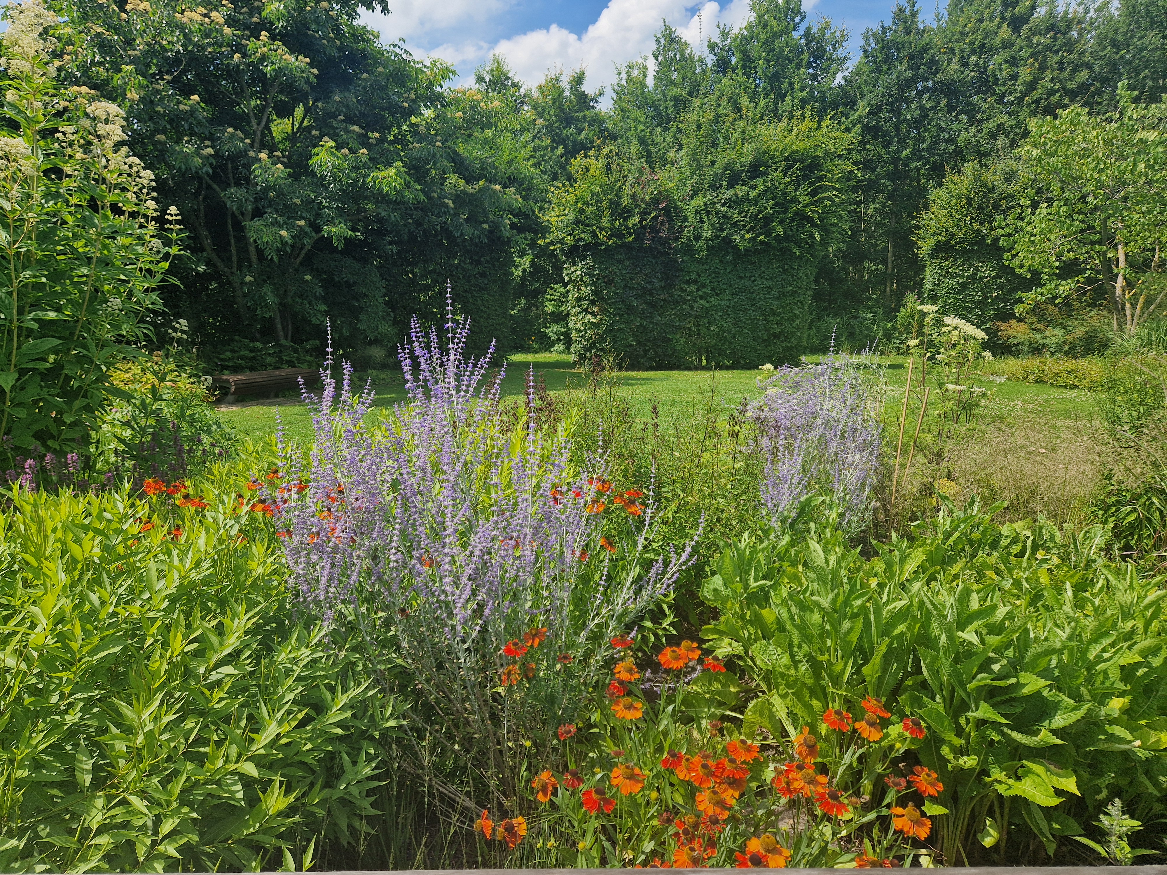 De vlindertuin van Piet Oudolf in het Maximapark
