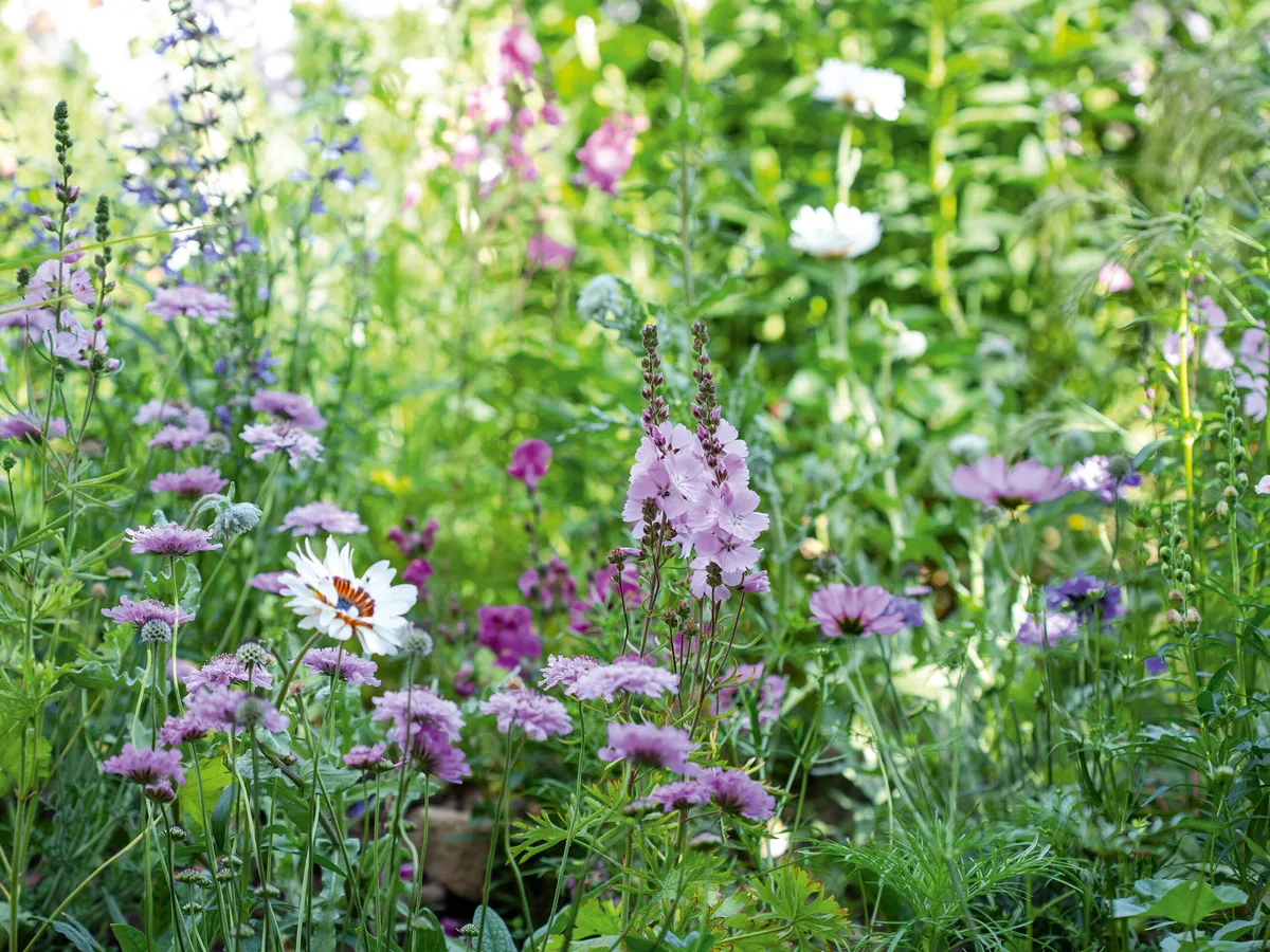 tuin door Nigel Dunnett