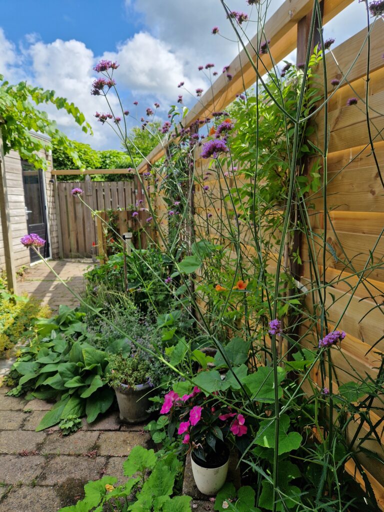 aangepast pad en geen zicht meer op de kliko