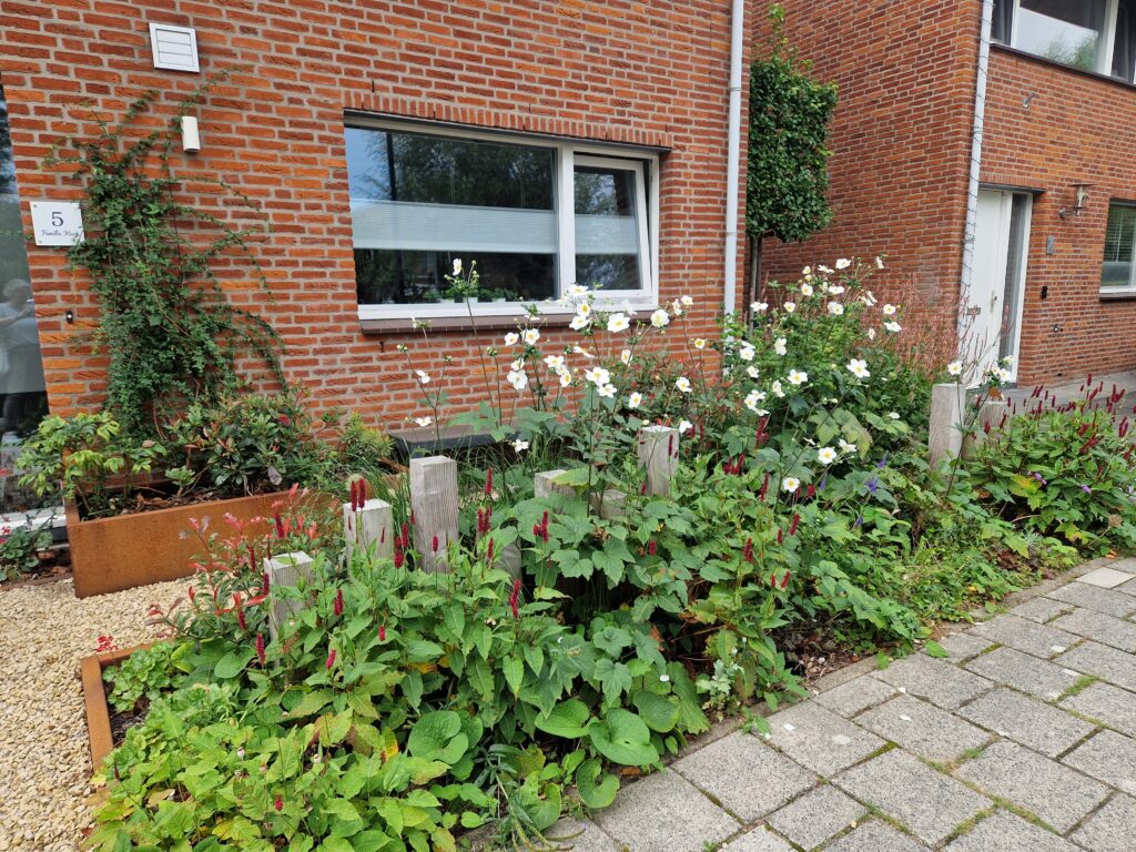 voortuin in het najaar