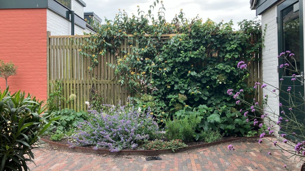 Planten in een plantenvak met gebogen rand van cortenstaal