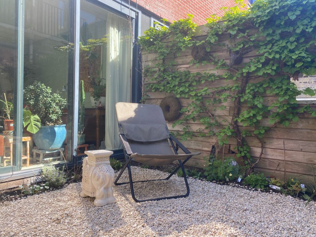 wachten tot alles gaat groeien