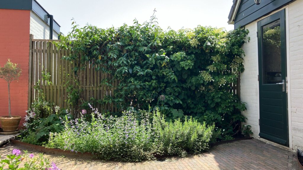de tuin nu...